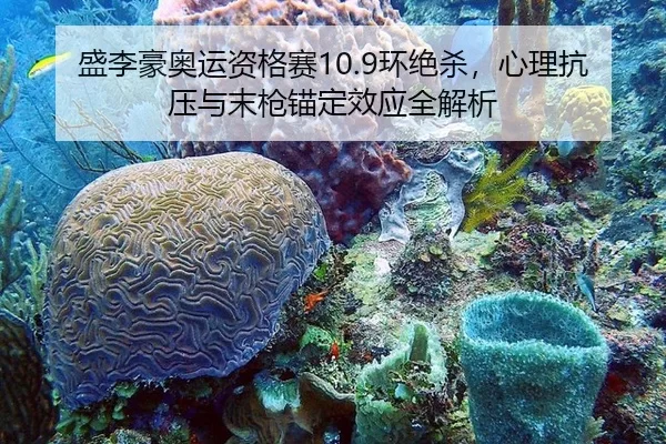 sheng-li-hao-ao-yun-zi-ge-sai-huan-jue-sha-xin-li-kang-ya-yu-mo-qiang-mao-ding-xiao-ying-quan-jie-xi-2-973.jpg